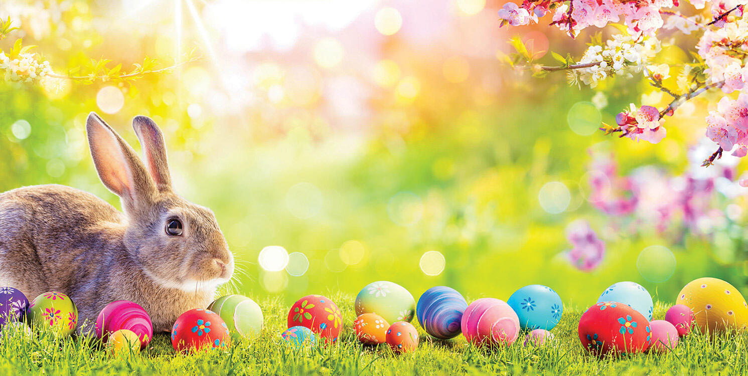 Flavorful recipes for your Easter leftovers.